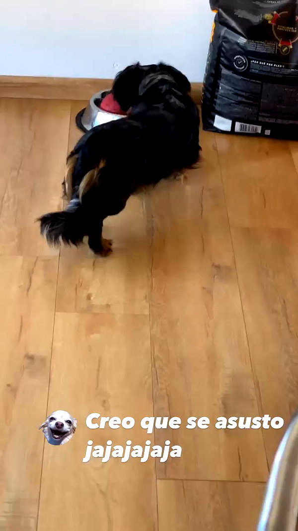 ruth_chavarri archive video preview