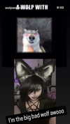 malmalirl Altpins Profile Picture