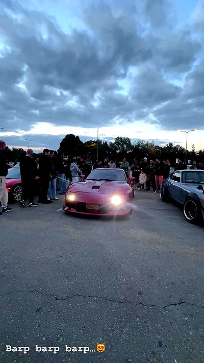 simp_for_cats_ simp_for_cats_ archive video