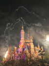 whylollycry Altpins Profile Picture