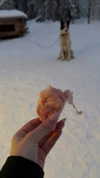 nikoleta.milenova Altpins Profile Picture