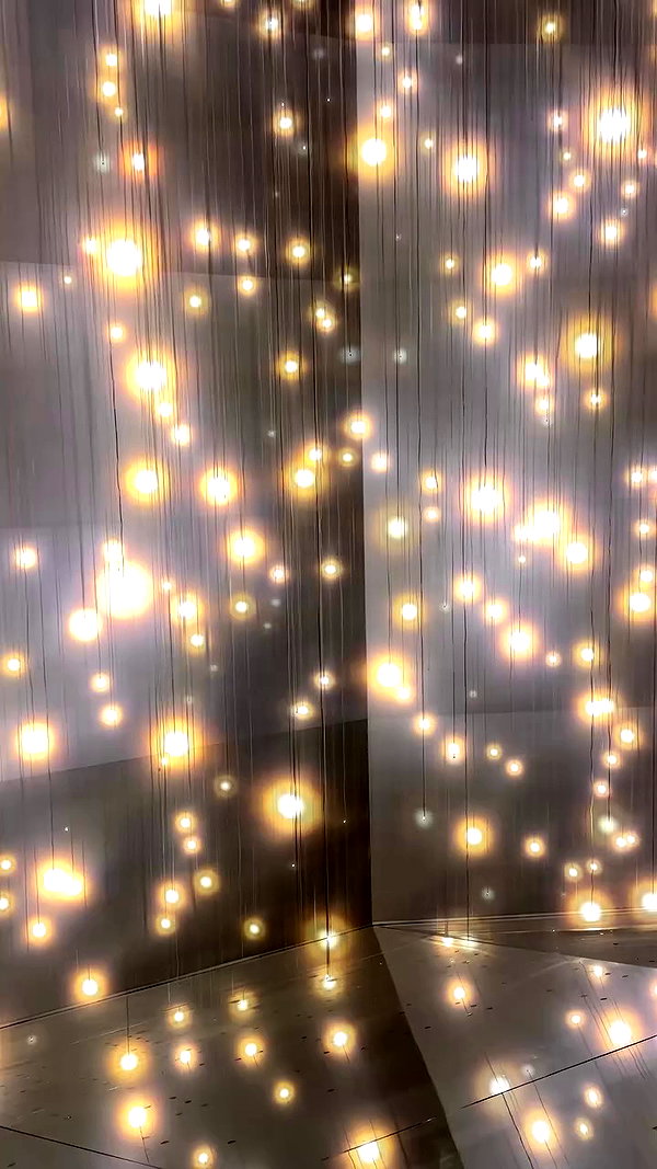 taylor.creeden archive video preview