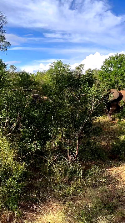 taylor.creeden taylor.creeden archive video