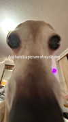 1kyle8_ Altpins Profile Picture