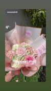 shayli_or Altpins Profile Picture