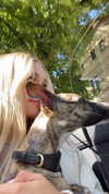 lilih Altpins Profile Picture