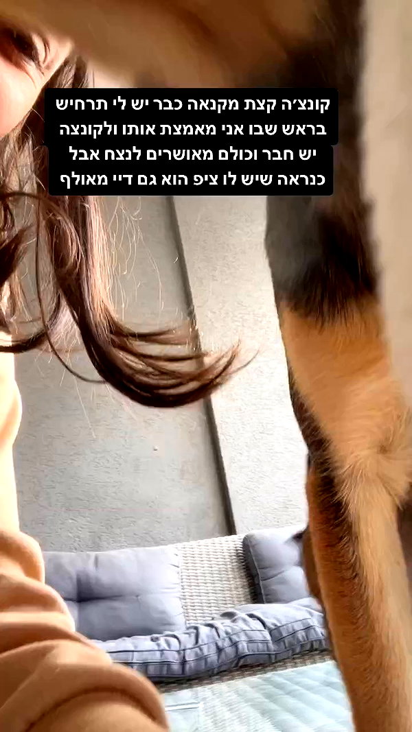 yuval_raz archive video preview