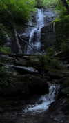 roni_ackerman Altpins Profile Picture