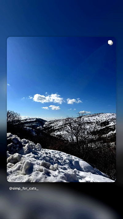 simp_for_cats_ simp_for_cats_ archive video