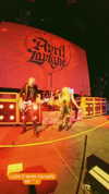 avrillavigne Altpins Profile Picture