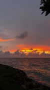 solzarubin_ Altpins Profile Picture