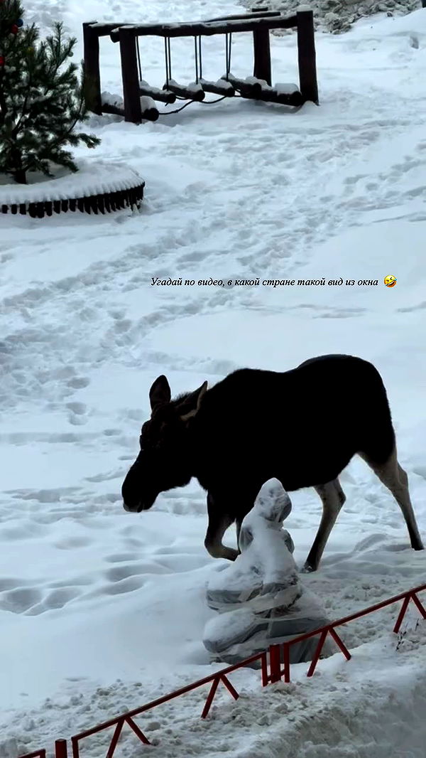 nyityam archive video preview