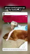 6nattynat9 Altpins Profile Picture
