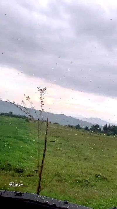 taylor.creeden taylor.creeden archive video