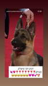 emily_new2 Altpins Profile Picture