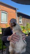 leni.bahr Altpins Profile Picture
