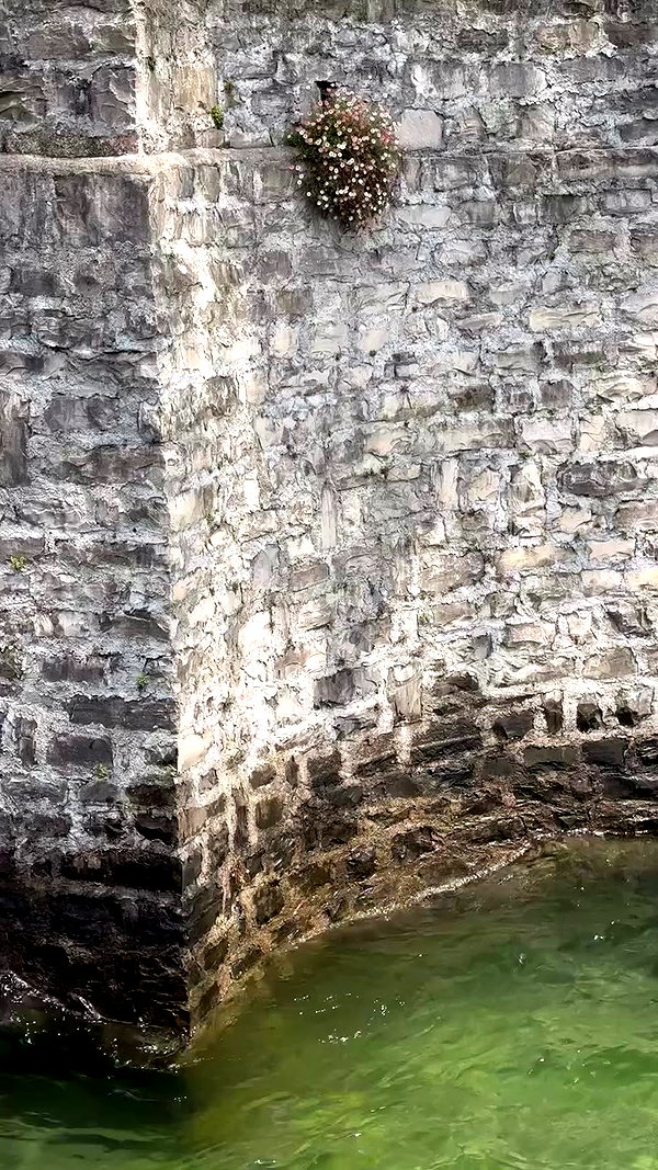 elizabethcampbelljones archive video preview