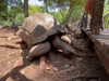 martinagiiuliani Altpins Profile Picture