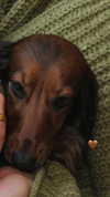 libby_reut Altpins Profile Picture