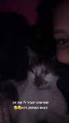 lera.genadenik Altpins Profile Picture
