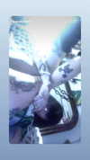 zommmbri Altpins Profile Picture