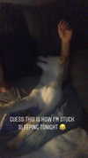 gabbyepstein Altpins Profile Picture