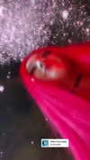 vik4au Altpins Profile Picture