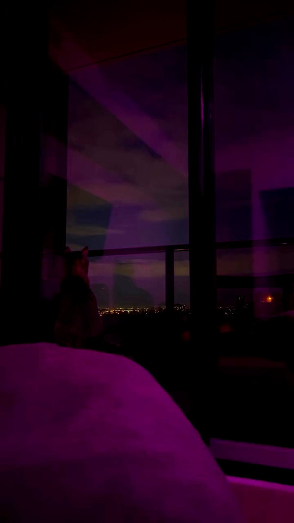 foulboness archive video preview