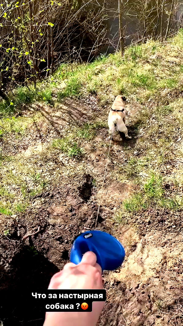 nyityam archive video preview