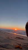 orman.mariee Altpins Profile Picture