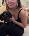 mishel_d_ Altpins Profile Picture
