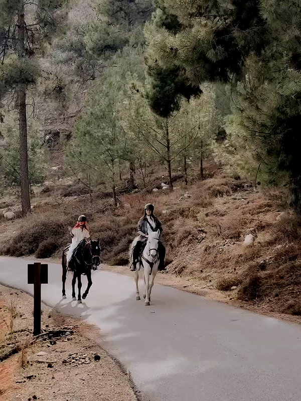 shaharo__._ archive video preview