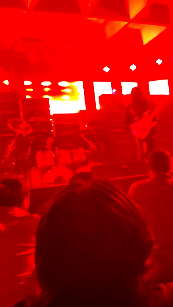 iluvmeww archive video preview