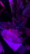 _shhayy22 Altpins Profile Picture