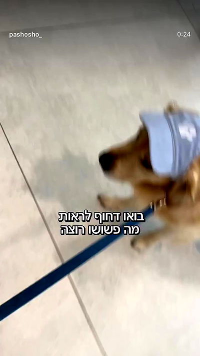 strawberryshanz strawberryshanz archive video