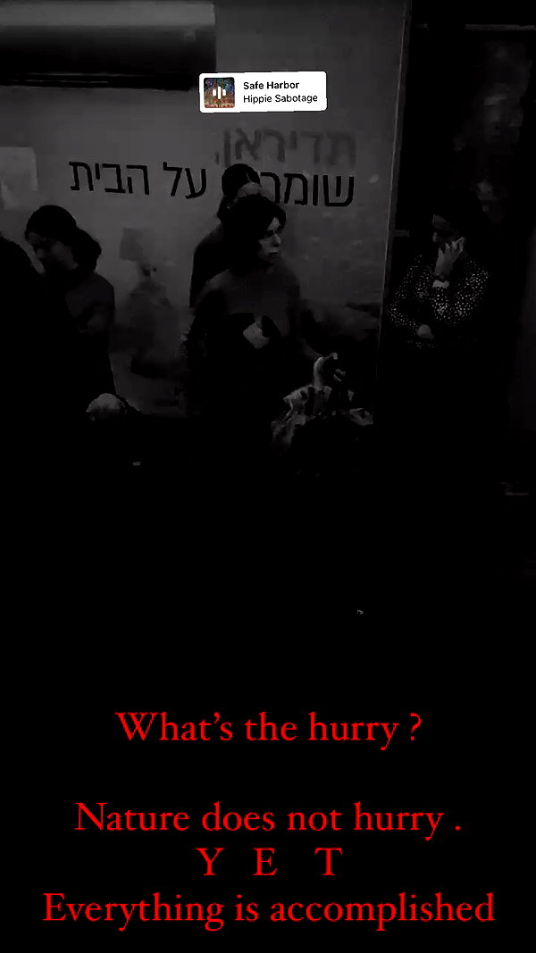 chris_fucking_wild archive video preview