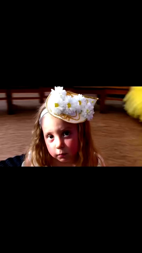 _allvi.pansk archive video preview