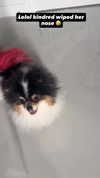alyri_tv Altpins Profile Picture