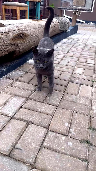 taylor.creeden taylor.creeden archive video