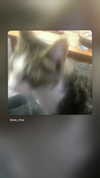 xec_frey Altpins Profile Picture