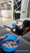 rebecka_hasid Altpins Profile Picture
