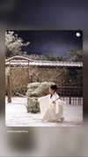 ___shachar Altpins Profile Picture