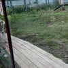 kriskaik Altpins Profile Picture