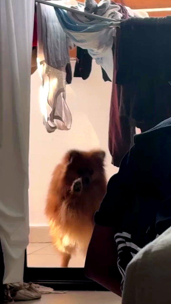 babynympho_archive archive video preview