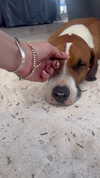 lollinski Altpins Profile Picture