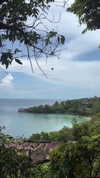 shirakor_ Altpins Profile Picture