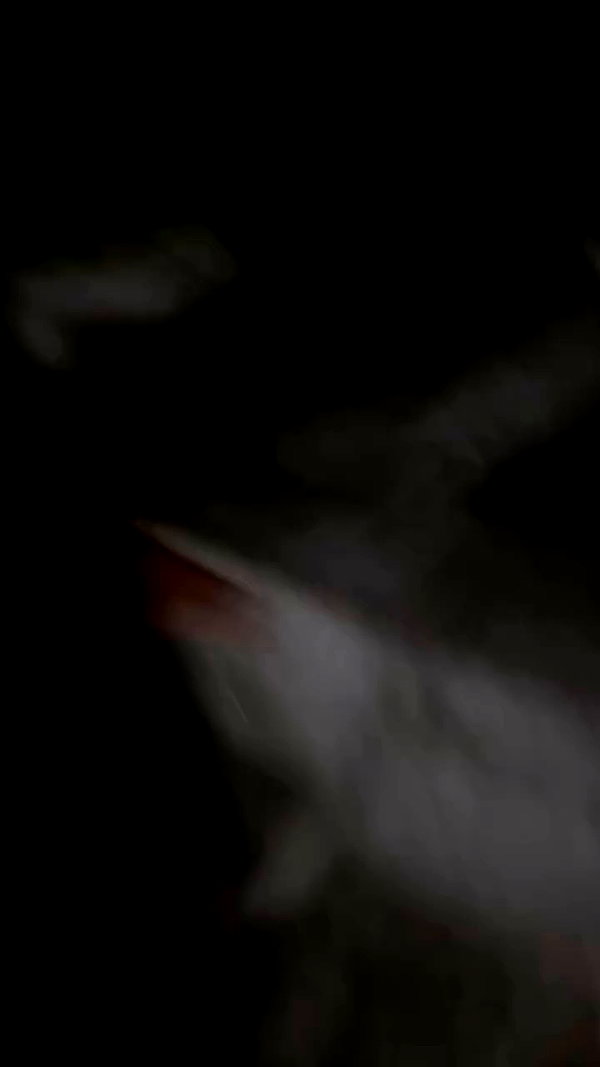 is2tian archive video preview