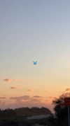 _lironatias Altpins Profile Picture