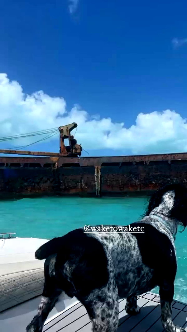 kaylasimmmons archive video preview