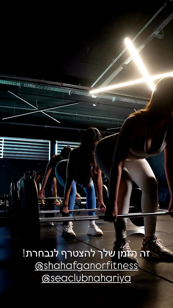 shapeup.premium archive video preview